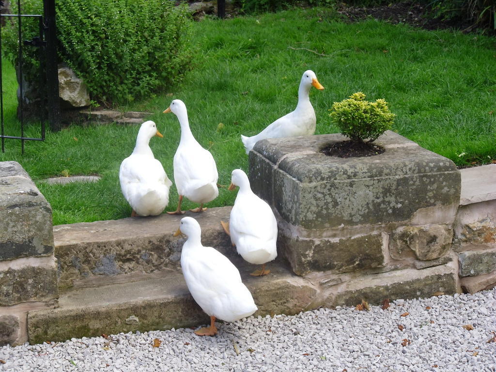 Tithe Barn Bed And Breakfast Carnforth Exterior foto